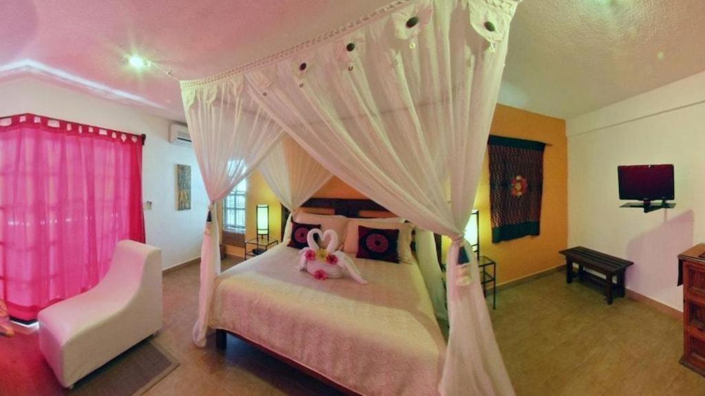 Flamingo Hotel Cozumel