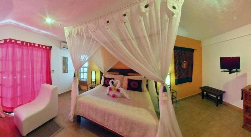 Flamingo 3*