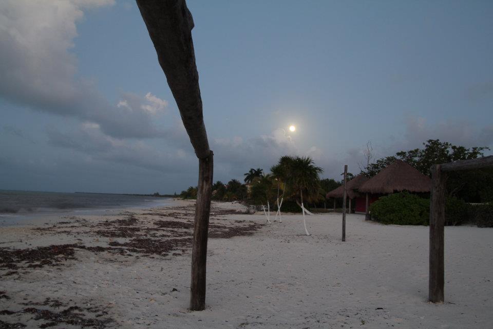 Albergue Beachouse Dive Cozumel