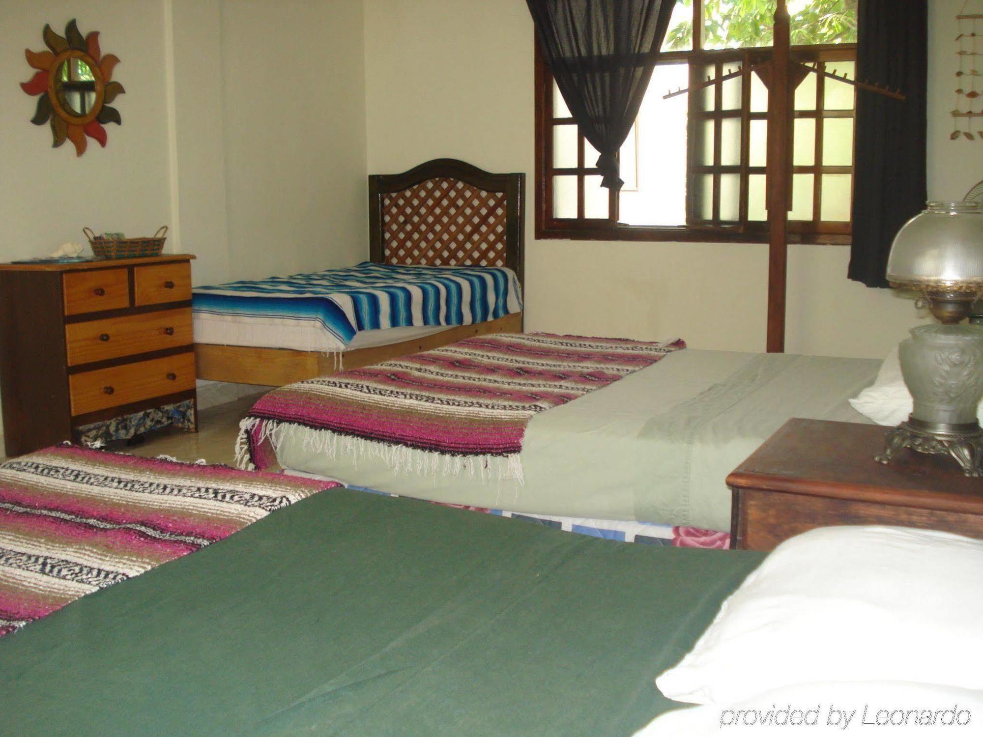 Beachouse Dive Albergue Cozumel