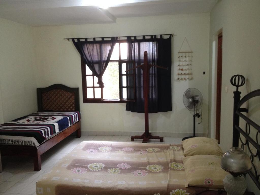 Albergue Beachouse Dive